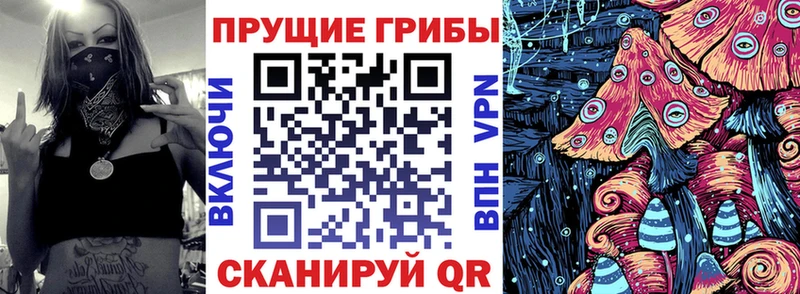 Купить где Холмск Галлюциногенные грибы прущие грибы